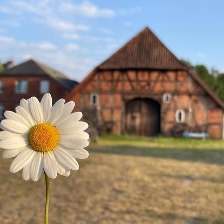 Ferienwohnung Elbsegler Блекеде Екстер'єр фото