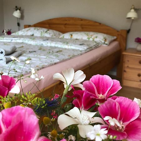 Ferienwohnung Elbsegler Блекеде Екстер'єр фото