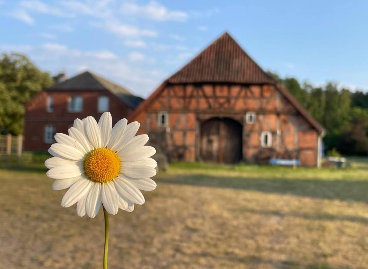Ferienwohnung Elbsegler Блекеде Екстер'єр фото