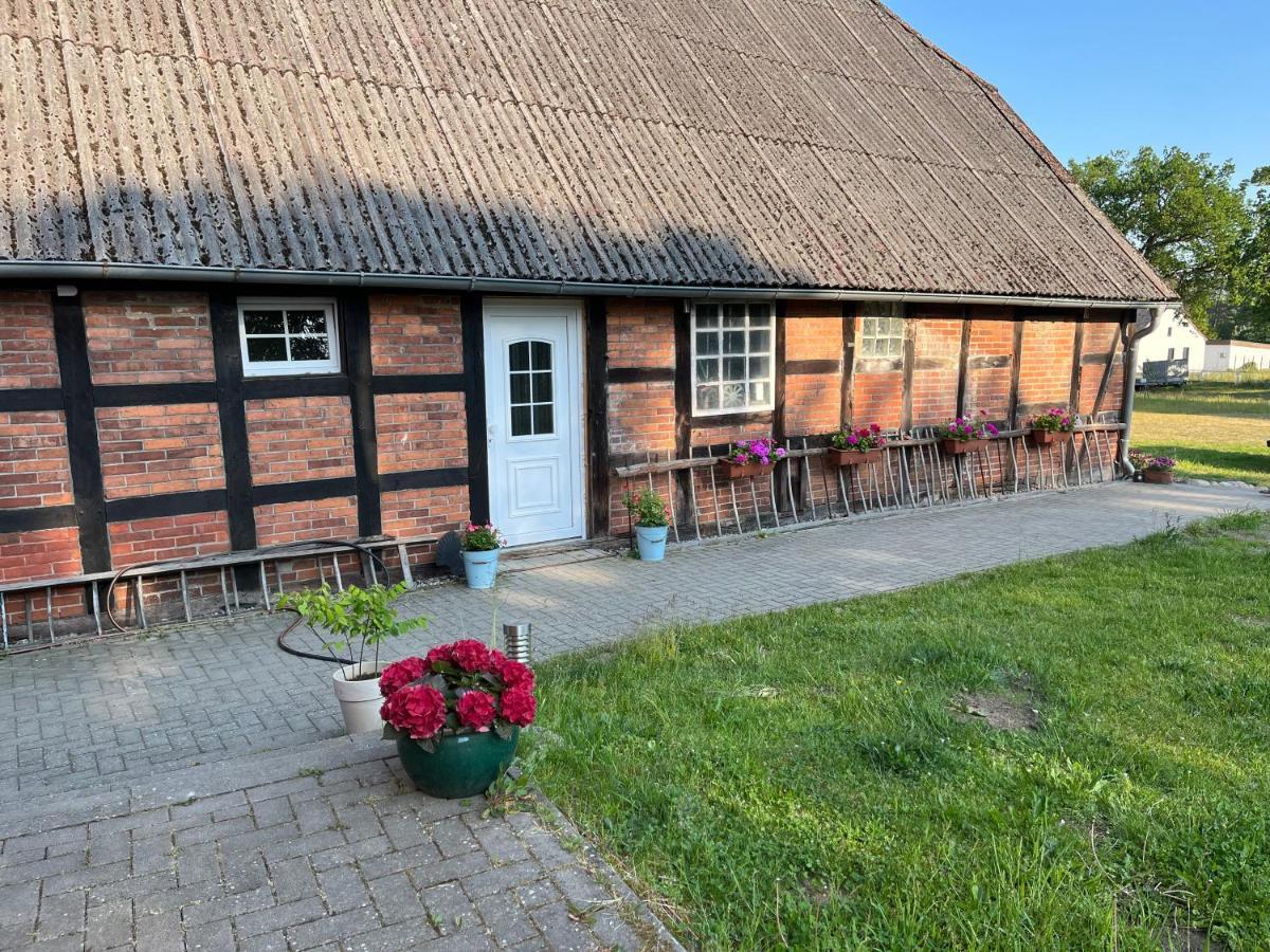 Ferienwohnung Elbsegler Блекеде Екстер'єр фото